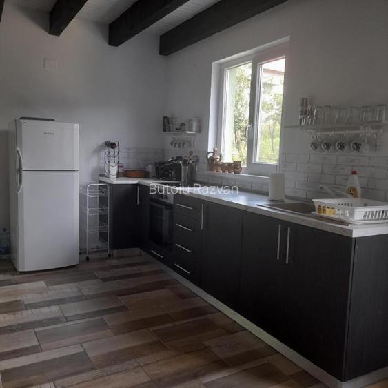 Casa de vacanță de vanzare Sasca montana  - 3