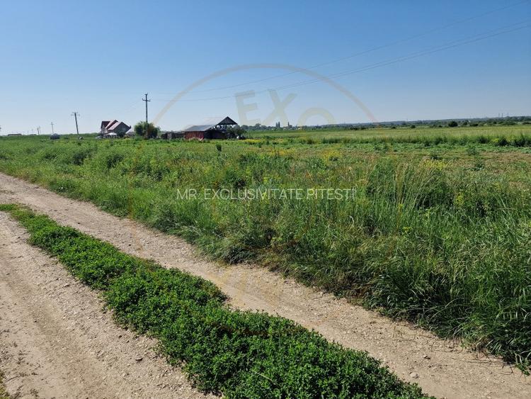 TEREN STEFANESTI! - 2