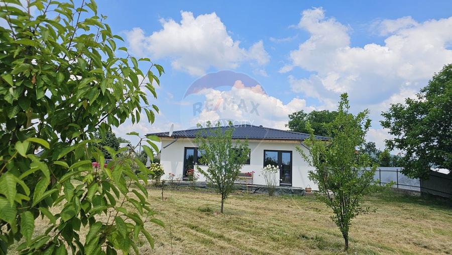 Casă / Vilă cu 5 camere de vânzare - 56