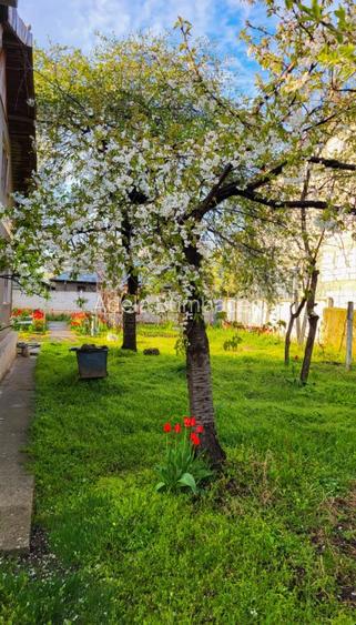 Casa cu teren 1400mp - 6