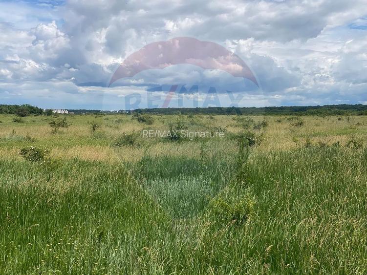 DE VANZARE Teren intravilan 600mp Drumul Piscul Mosului SISESTI - 13