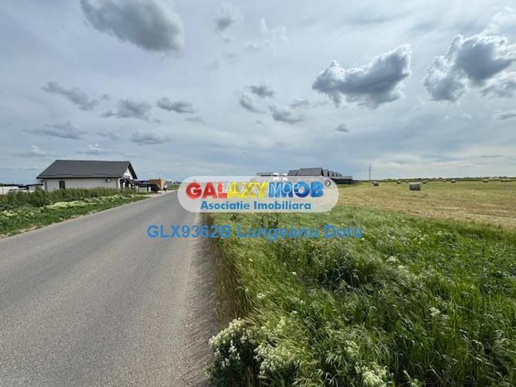 Com Berceni, intravilan 500 mp, Stradal, Curent Electric, Comercial - 10