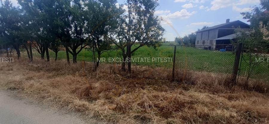 TEREN  ZONA MUZEUL GOLESTI ARGES!! - 2