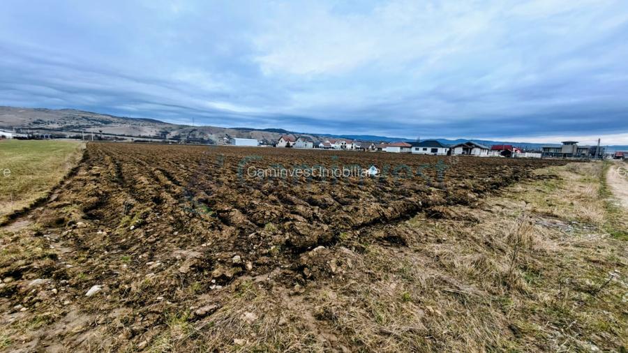 Teren intravilan rezidential industrial 34650 mp Alesd, Bihor - 2