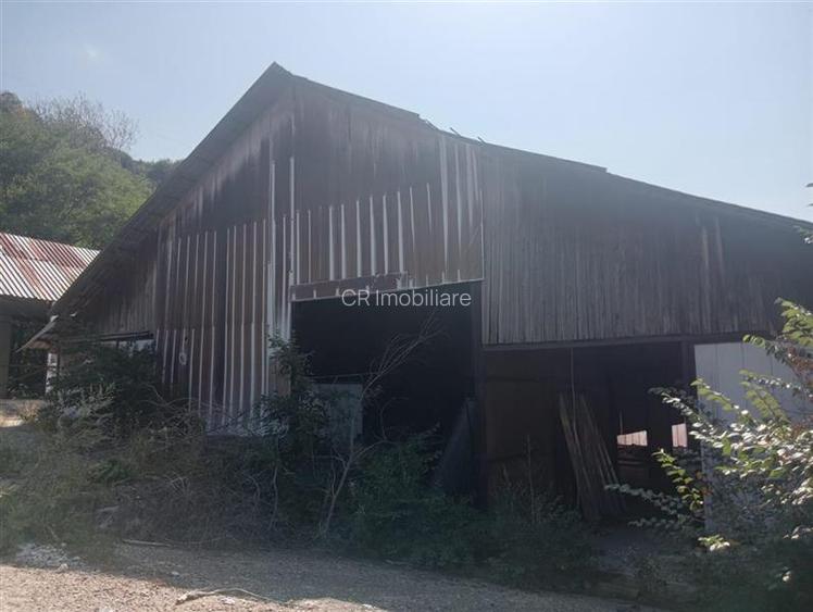 Spatii industriale pe teren de 11000 mp Daesti Valcea - 8