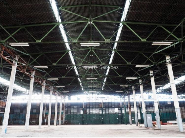 Hala Mecanicafina - 2