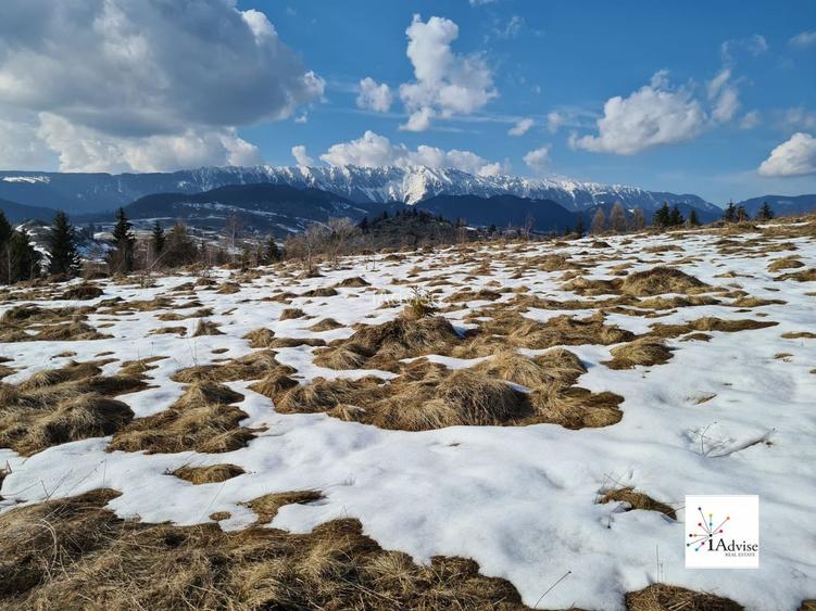 Teren De Vanzare In Sirnea - 28