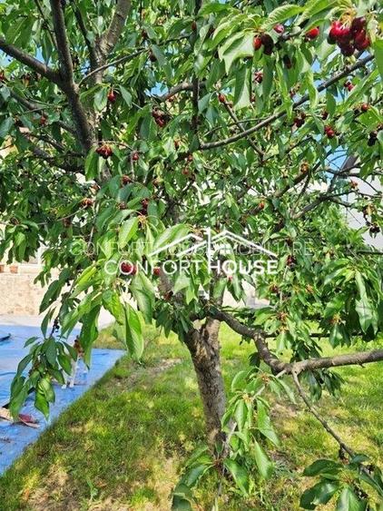 Vila D+P+E+M, teren 898mp, piscina, IANCU NICOLAE-Cambridge School - 7