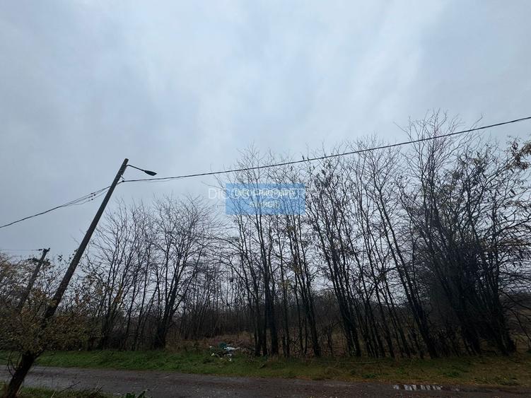 Teren intravilan Drumul Fermei - 3