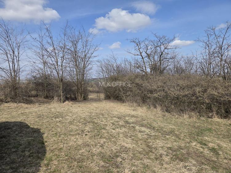 Teren de vanzare Pata Cluj - 7