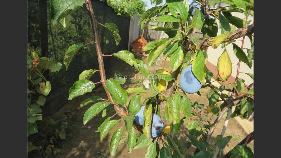 House for sale, 3 Rooms, 121 sqm, Giurgiu - 13