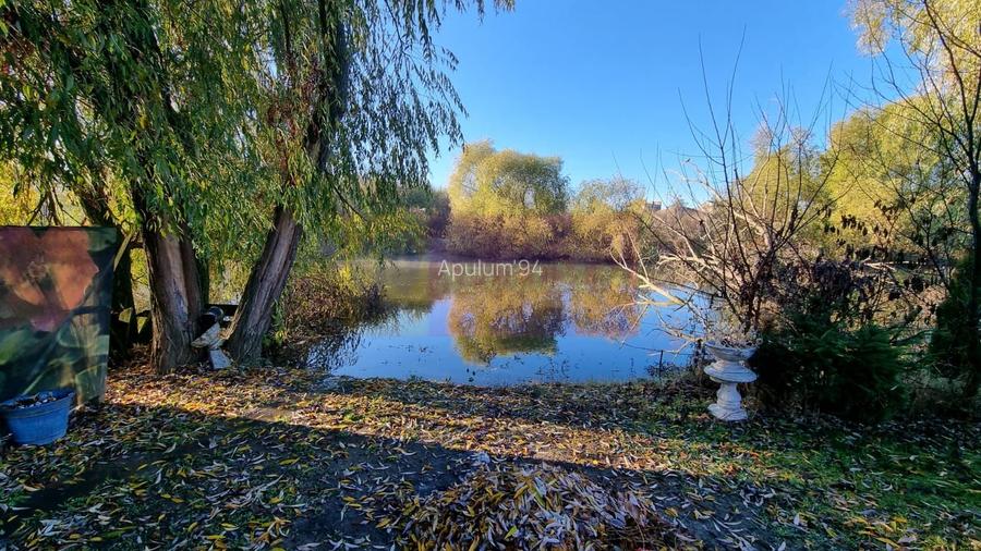 Cea mai frumoasă casă din zona Pipera - Băneasa - 31