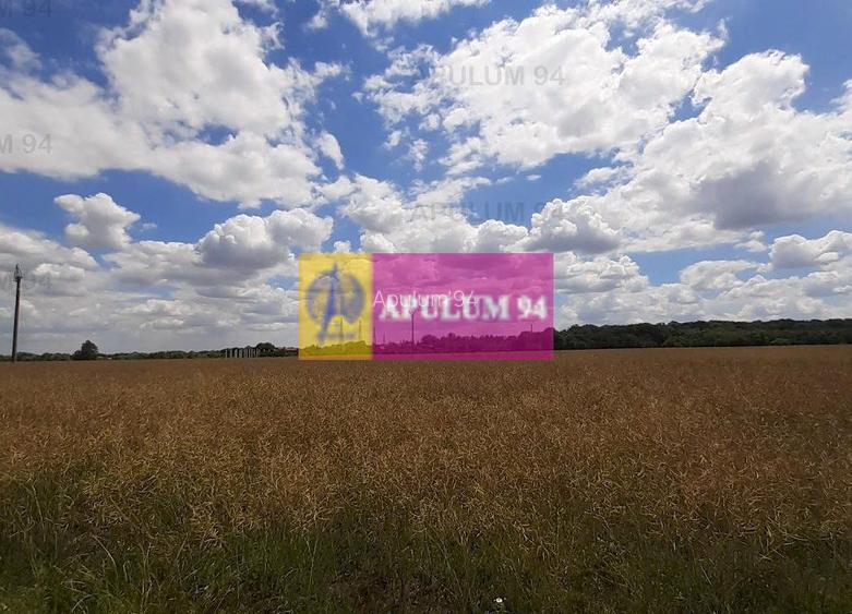 Teren 715mp în Snagov lângă Equestria - 34