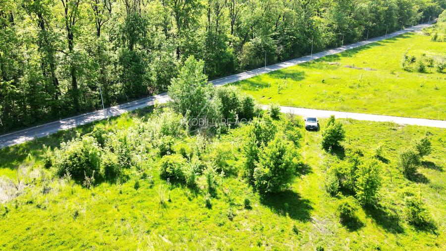 Teren intravilan, 2 fronturi, Drumul Padurea Pustnicu 65 - Greenfield - 6