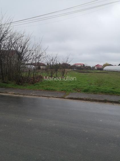 Teren de vânzare – Cornetu, Ilfov – Strada Bradului - 2