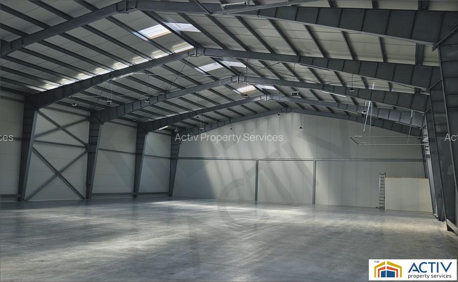 Hala moderna de inchiriat Ungheni-Targu Mures - 3