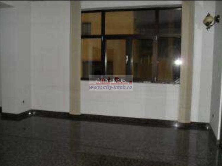 Inchiriere Vila Iancu Nicolae Gradinita, Clinica Medicala - 7