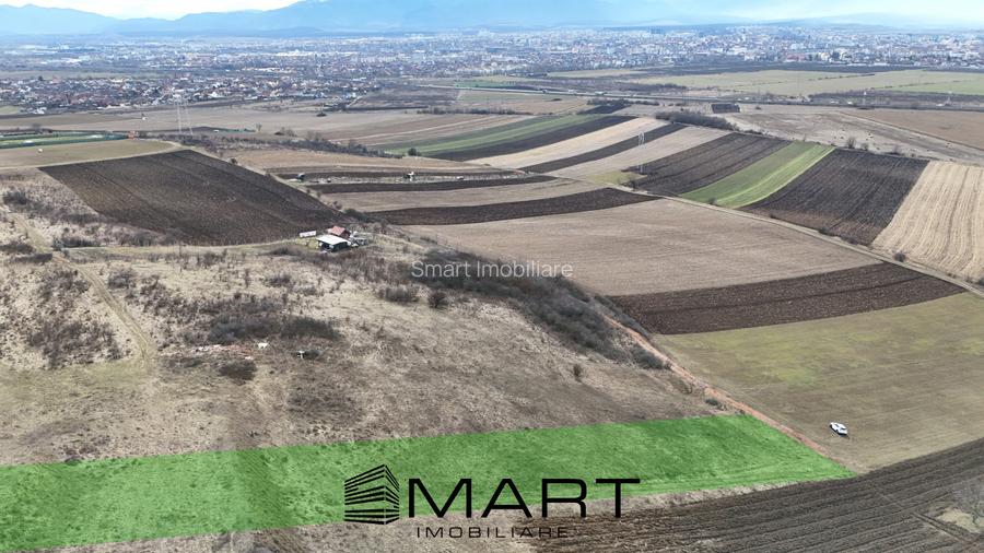 Teren extravilan 4500mp cu autorizatie adapost agrigol in Gusterita - 3