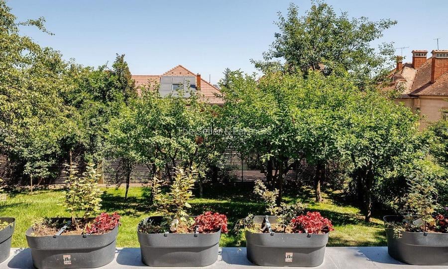 Eleganță și Confort în Centrul Orașului - 40