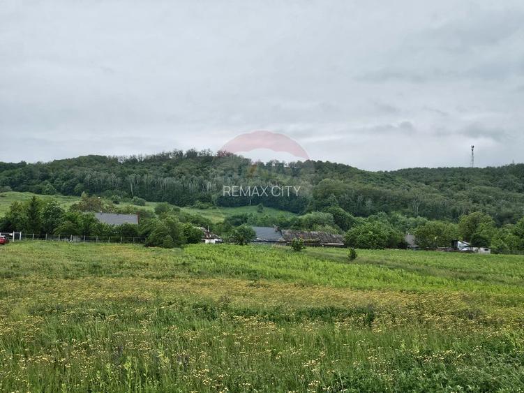 Teren 1,495mp Dobreni / Strada Parau Almas - 9