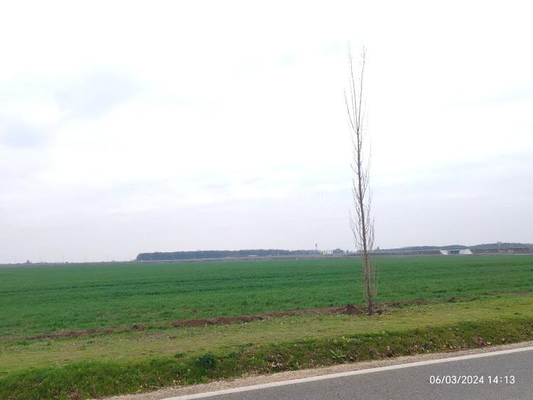 Descoperiti oportunitatea perfecta de investitie la Balotesti! - 2