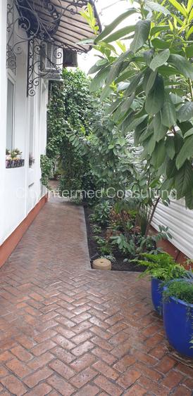 Vila desebita-POPA NAN- O oaza de liniste si verdeata in centrul orasului. - 16