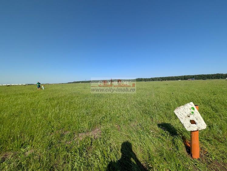 Vanzare Teren Constructii 1000 mp in Pipera Voluntari, - 5