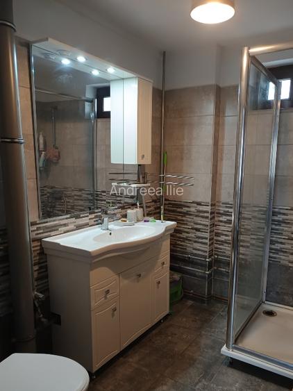 Teren parcelabil, intravilan, 6400mp cu casa renovata - ideal investitor  - 9