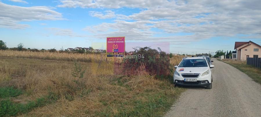 Gulia teren 11.157 mp, lângă Pădurea Cereanca - 4