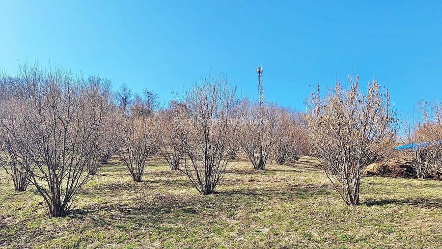 Comision 0%! Teren superb de 17000mp la 5 min de Castelul Bran, 13 euro/mp - 12