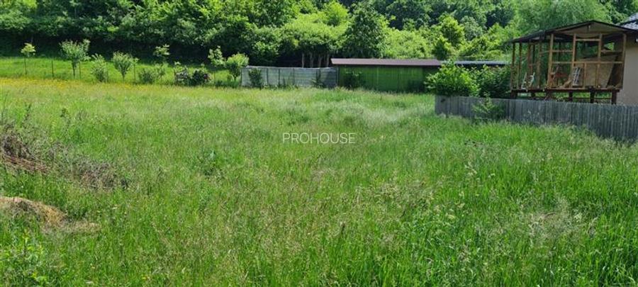 Teren 2033 mp- langa padure-  Margineni- Podis Dubas - 4