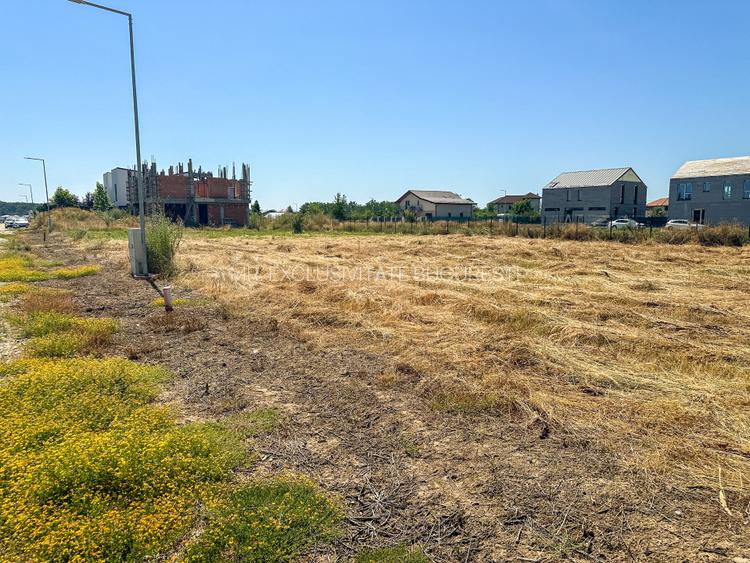 Teren 1116 mp gulia Eden Forest - 2