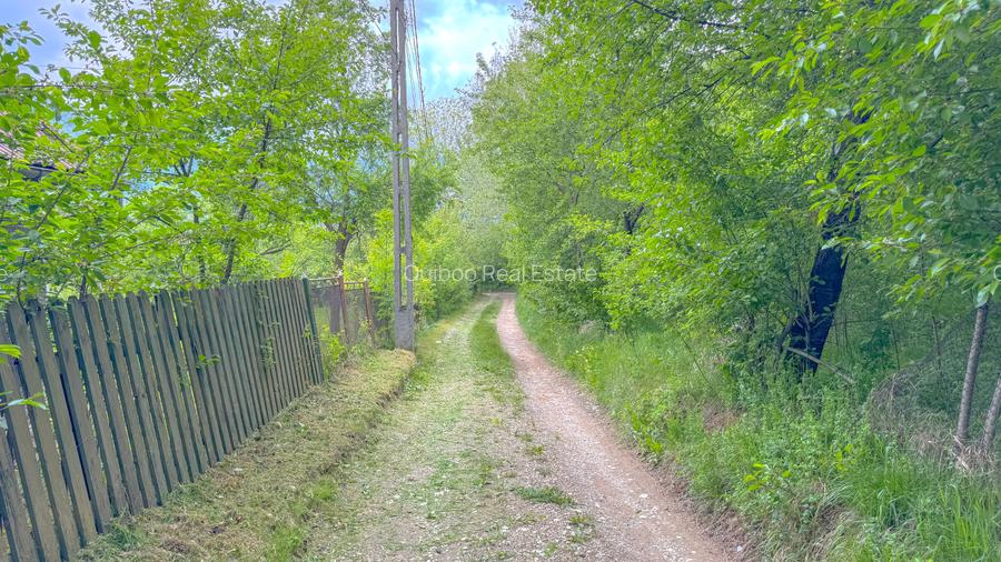 Teren 1500mp, intravilan cu utilitati, in proximitatea complexului Vila Bran - 9