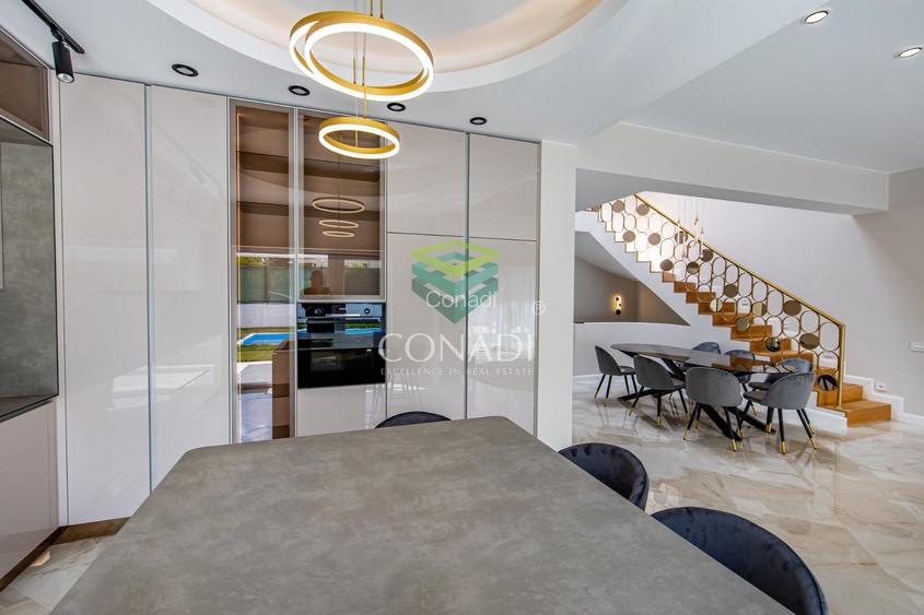 Iancu Nicolae-Pipera, vila cu 5 camere de vanzare, 317 mp construiti - 5