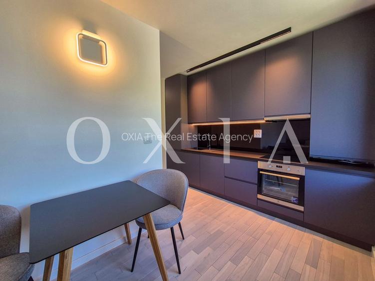 AX1068 Dumbravita, Bulevardul Petre Tutea, Prima Inchiriere - 12