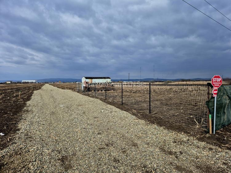 LOTURI TEREN INTRAVILAN -  BRASOV - 3