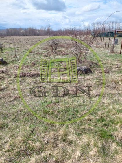 Teren intravilan 586mp, spre vanzare pe Valea Avrigului - 3