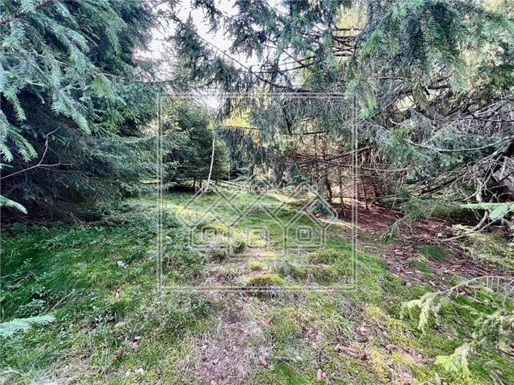 Teren de vanzare - 11200 mp - extravilan - zona turistica - 3