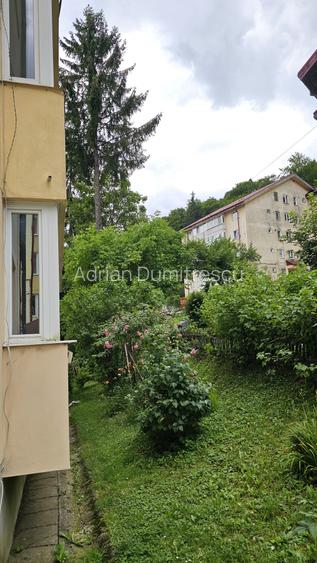 Central, zona vile, la cheie, renovat integral,  mobilat si utilat modern - 17