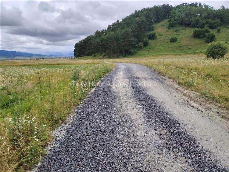 Teren extravilan in Heveder, jud. Harghita - 8