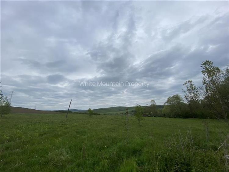 Oportunitate investitie | Teren 10 000 mp cu constructie de 530 mp la 10 km de V - 27