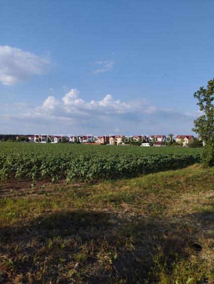 SE VINDE TEREN 5000 MP INTRAVILAN, MIXT CU DESCHIDERE LA DJ101 DE 42m - 2