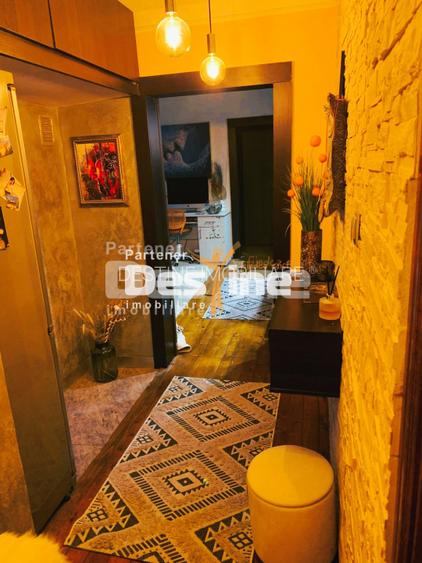 Pacurari- Apartament 2 camere, etaj 1 - Mobilat si utilat - 13