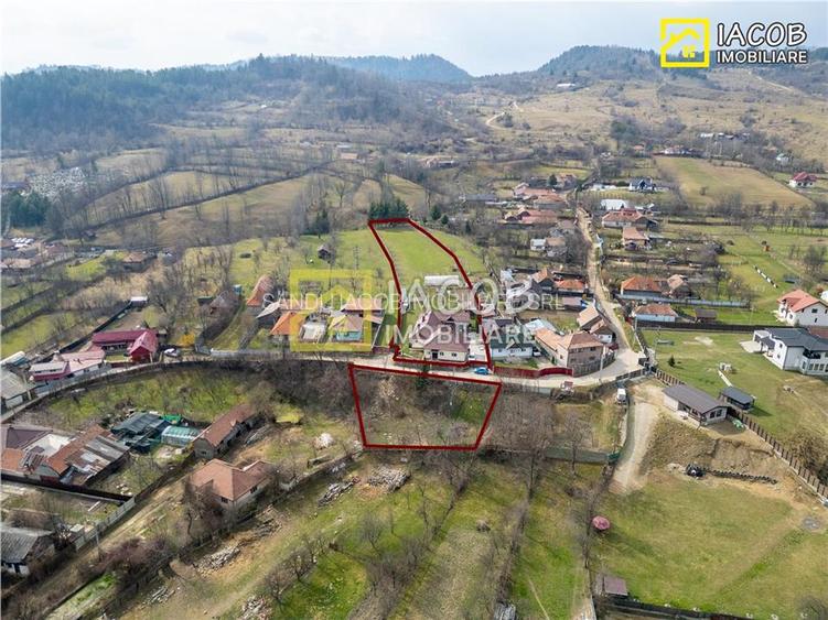 Casa, anexe, 3762 mp teren, 25000 mp padure, Comanesti, jud. Bacau - 7