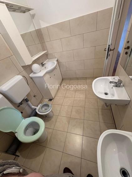 Inchiriere Vila Floreasca sector 2 Chopin nr.2B - 13