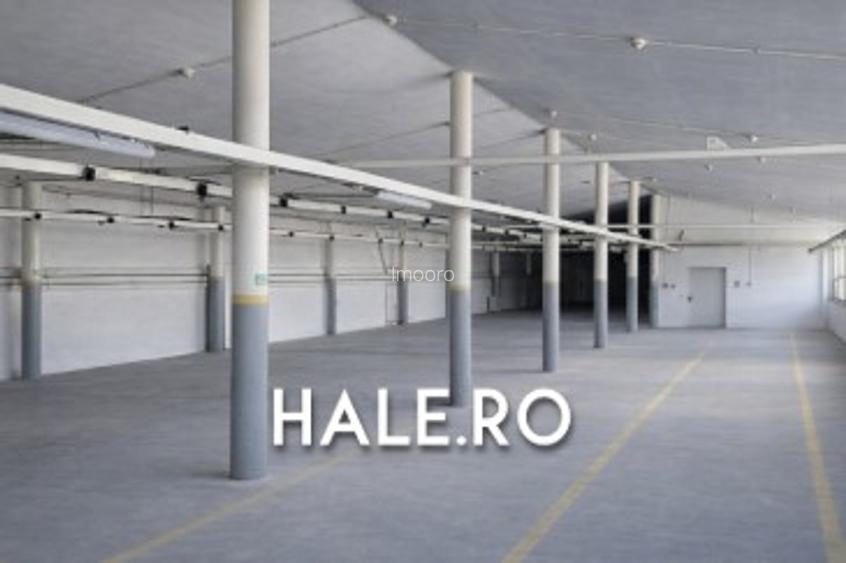 Hala de inchiriat Chiajna pentru depozit sau productie 1060 mp - 2