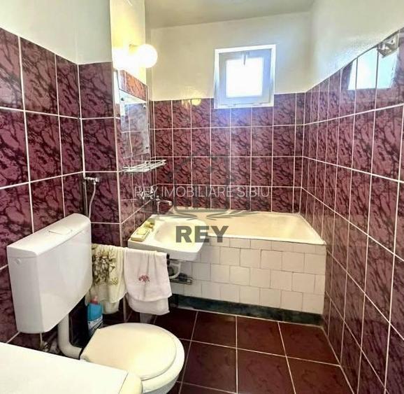 Apartament 2 camere de vanzare zona Terezian | Central - 7