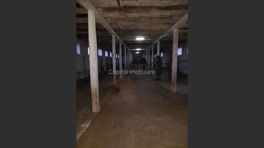 Ferma langa Oravita 5600 mp construiti si teren 24281 intravilan - 6