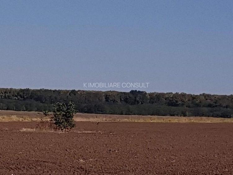 Branesti teren intravilan 30700 mp - 6