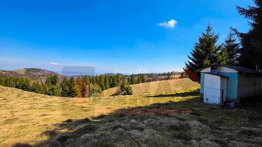 Proprietar | Teren Panoramic+PUZ + Cabana | Drumul Paltinisului |746mp - 14